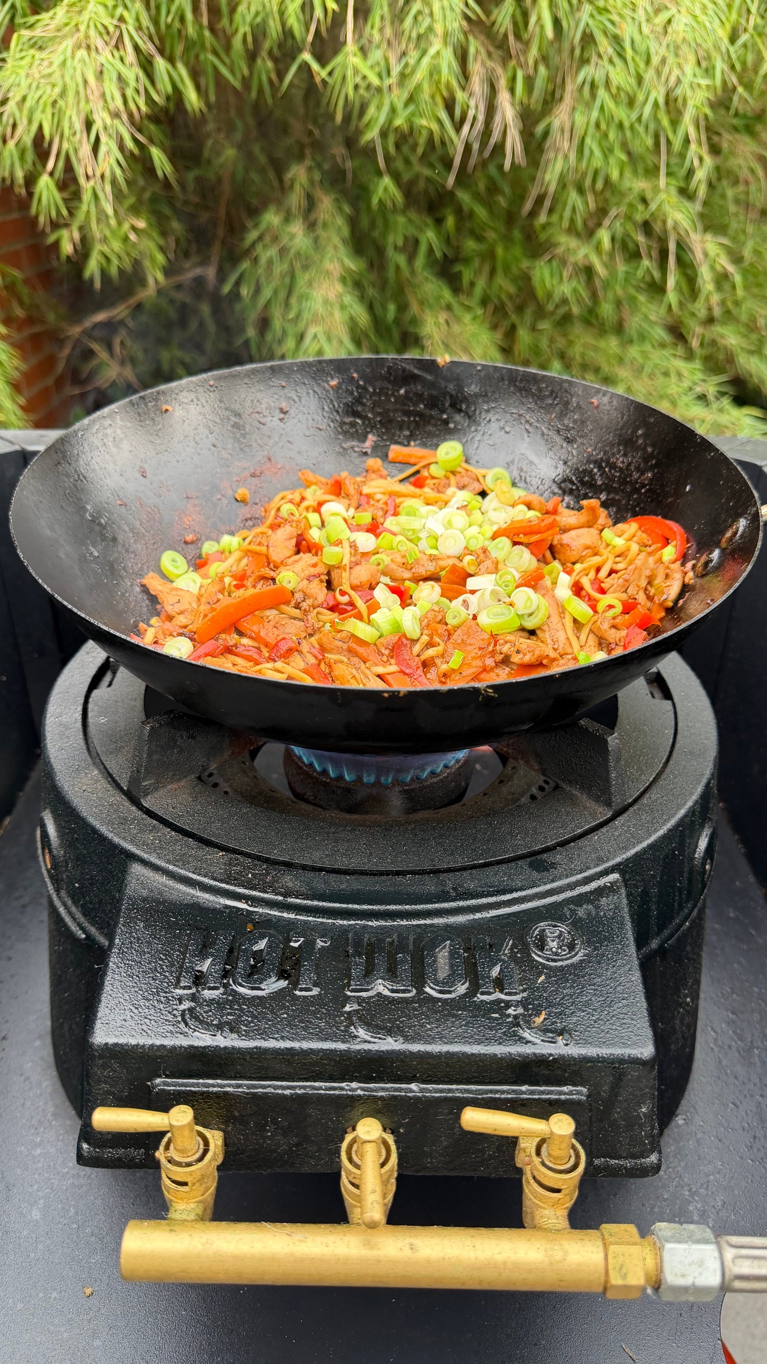 Chicken Wok with Bell Pepper